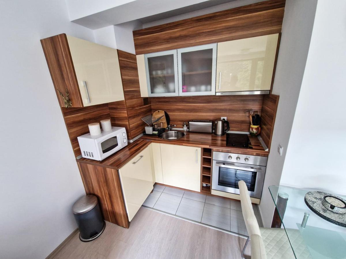 Sunny Apartment C25 Borowec Zewnętrze zdjęcie